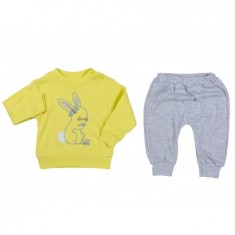 Sevimli Tavşan Takım